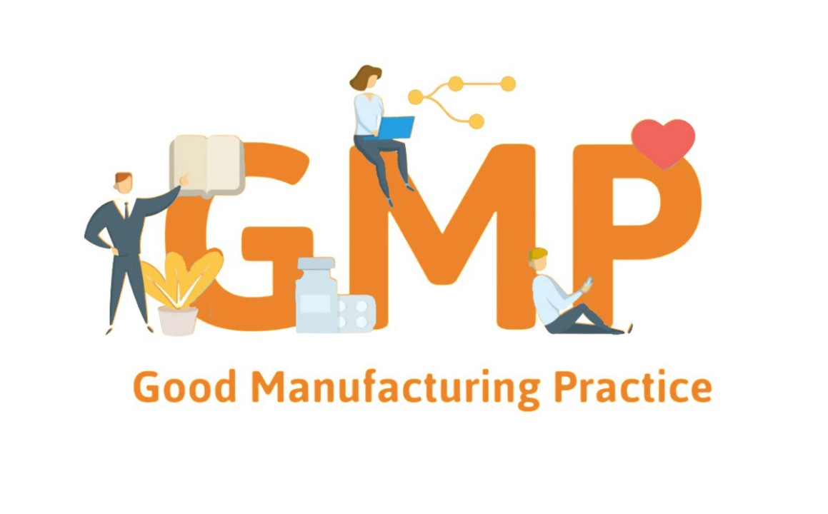 The Importance of Good Manufacturing Practices (GMP): How GMP Affects ...